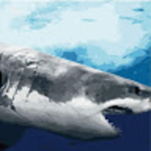 Meet your Posher, Colleen